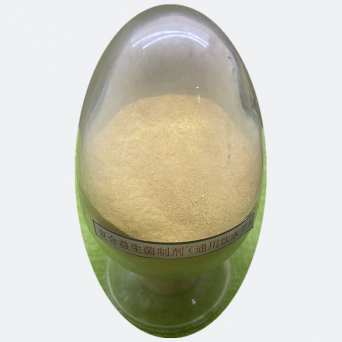 Bacillus Subtilis Probiotic Chất phụ gia cho heo hòa tan trong nước 0