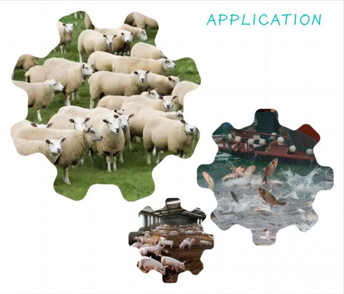 Phụ gia thức ăn Nano Selen từ nấm men 2000mg/kg cho gia súc gia cầm 1