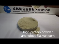 Chất phụ gia thức ăn chăn nuôi với protein thô 60% dạng bột