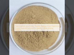 Phụ gia thức ăn chăn nuôi bột protein đậu nành thay thế các nguồn protein đắt tiền hơn như bột cá hoặc các protein động vật khác