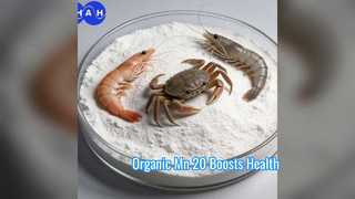 Tăng cường sức khỏe động vật Phụ gia thức ăn hữu cơ Mn 20