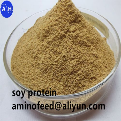 Latest company news about Vai trò của Protein thô trong Sức khỏe và Dinh dưỡng của Gia súc