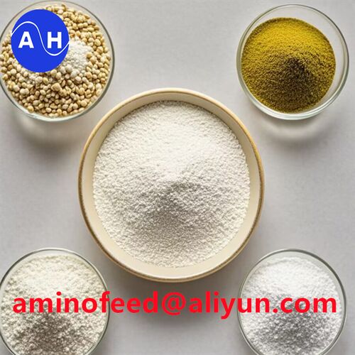 Latest company news about Chức năng của khoáng chất peptide chelate proteinate trong thức ăn gia cầm