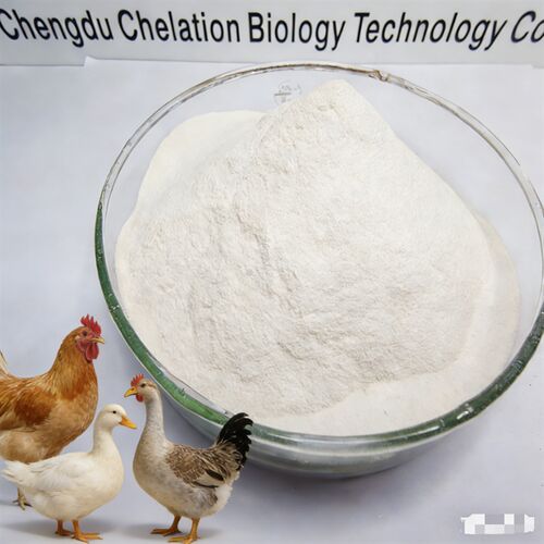 Latest company news about Organic Protein Chelated Iron 20% | High-Efficiency Poultry Feed Additive