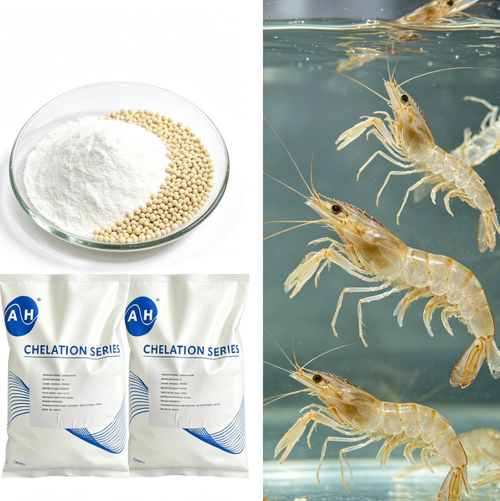 Latest company news about Quản lý nhu cầu khoáng vi lượng trong thức ăn nuôi trồng thủy sản bằng nguồn magiê hữu cơ